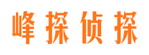 洪泽市场调查